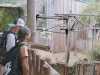 IMG-20250623-WA0015