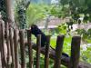 IMG-20250623-WA0019